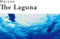 Marine The Laguna
